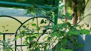 বসের মেয়ে যখন সিনিয়র রাগী বউ|| সকল পর্ব||Romantic Love Story||Voice: Ashik+Priyanka |story garden#