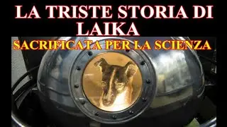 IL SACRIFICIO DELLA CAGNETTA LAIKA in nome della scienza!