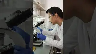 Mendhak Pe Experiments Kyun Karte Hain? | Medical Science Secrets in Hindi #sciencestudent #animals