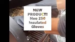 Neo 250 Heat Proof Gloves