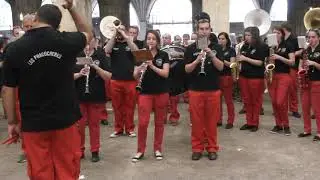 Les Phacochères : traditionnel Carnaval Limoux