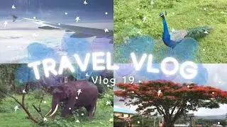Bahrain to Bangalore Airport ✈️ | Travel Vlog✨ | Bandipur 🦚 | Mudhumalai Forest 🍃