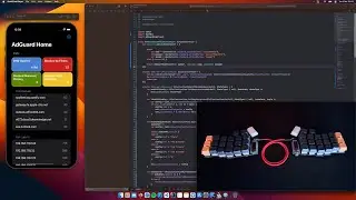 iOS Programming - AdGuardHome Client Pt. 1 - No Talking