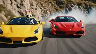 Furry Fast Lane Ferrari Frenzy! #Ferrari #Racing #Supercars #Animation #CuteAnimals #AutoRacing