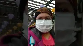 KUNG HEI FAT CHOI | 2nd Day | SAIKUNG