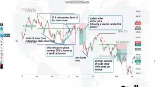 Dead Cat Bounce Pattern
