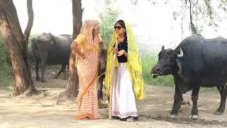 देवर ने भाभी पकड़ ली भुर्जी में||Dhanni tau ki comedy tau Dhanni Ki comedy jhutharam ki comedy||