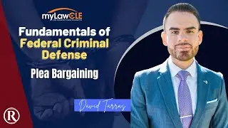 Fundamentals of Federal Criminal Defense: Plea Bargaining
