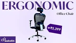 Safari Pro High Back Ergonomic Office Chair - Comfortable, Adjustable, & Supportive Desk Chair
