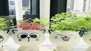 1pc Ceramic Flowerpot Mini Cat Cartoon Cute Plant Desktop Potted Plant Pot DIY Decorate Toys Science