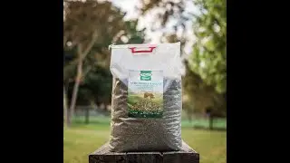 Hemp Hearts and Hulls for Birds
