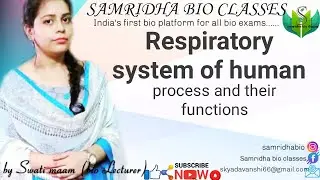 Human physiology//Respiratory system of human : structure of lungs by Swati Ma'am