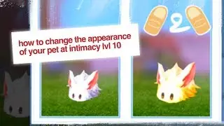 Ragnarok Mobile Eternal Love How to change Color Appearance of Pet at Intimacy 10 Guide