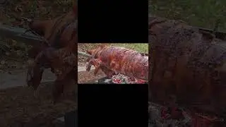 (R-Grill) Whole Hog Roast on a Summer Evening