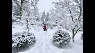 Snow Storm 2021 #snowstorm