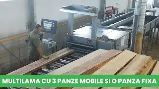 Circular Multilama spintecat / tivit cherestea cu 3 Panze Mobile si 1 Panza Fixa - Paul Germania