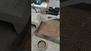 Floating fish feed pellet machine,machine testing#fishfarming #fishfeedmakingmachine #fishfeed
