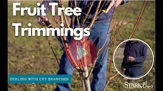 Fruit Tree Trimmings - How to Dispose of them?