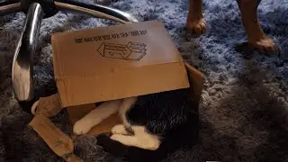 XXL TEMU HAUL