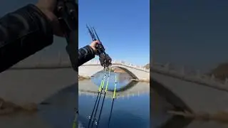 Cần c&acirc;u m&aacute;y ikada 1,65m ngọn si&ecirc;u dẻo 0.6li c&acirc;u c&aacute; ch&eacute;p ng&aacute;t 4-7kg 😍#fishing #shorts