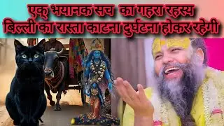 बिल्ली का रास्ता काटना &ndash; अंधविश्वास या छिपा सच 