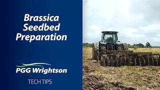 Brassica Seedbed Preparation | PGG Wrightson Tech Tips