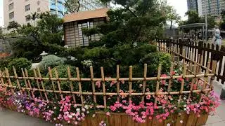 Sai Wan Ho,Aldrich Bay Park