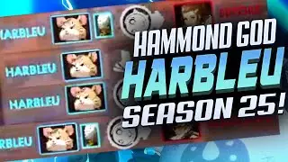 HARBLEU TOP 21 HAMMOND GOD! [ OVERWATCH SEASON 25 TOP 500 ]