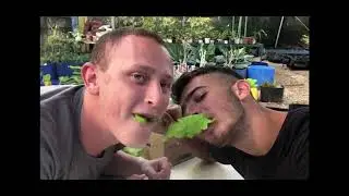 קומונה ט