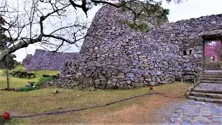 WALKING THROUGH A 14TH CENTURY KING'S CASTLE IN OKINAWA | NAKIJIN JO | JAPAN'S FIRST CHERRY BLOSSOMS