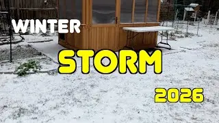 Ice, Gardens and Chickens | Winter Storm Fern 2016