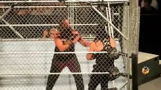 Roman Reigns and Daniel Bryan Vs Luke Harper and Eric Rowan