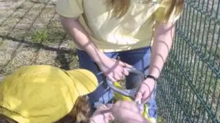 Community Built Playground Installation