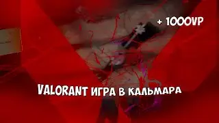 VALORANT ИГРА В КАЛЬМАРА НА 1000 VP | ВАЛОРАНТ