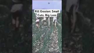 Rill erosion #soil #conservation #erosion #fertilesoil #agriculture #rillerosion #science #farming