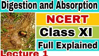 NCERT CH-16 DIGESTION AND ABSORPTION (HUMAN PHYSIOLOGY) Biology LECTURE 1 FOR NEET/AIIMS