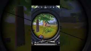 AWM head sort video.