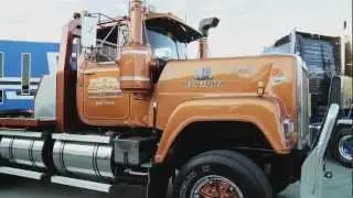 MegaTruckers | Trucks | Gold Digger