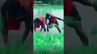 New Funny like video !! Like video!! Technical faizan!!