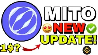 🔥 Mitosis (MITO) Coin Big Update | Latest Crypto News & Future Price Target 🚀
