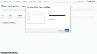 Systream Online &uuml;gyviteli rendszer - rakt&aacute;rkezel&eacute;s