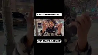 🐔 Вы меня слышите, #Marriott?