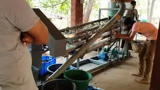 cashew scoping machine