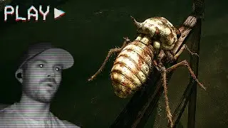 A Horror Game About A BUG...