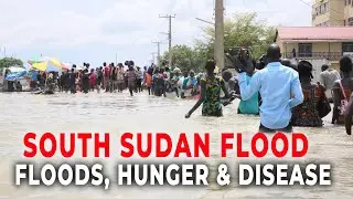 South Sudan Floods 2025: Humanitarian Crisis, Displacement & Climate Emergency
