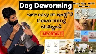 Dog Deworming at Home | how to give deworming tablet to dog | best deworming medicine for puppy