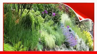 30 English Garden Design Ideas We Love 🧧