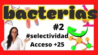 [Fisiología Bacteriana] 🎃▶ Biología SELECTIVIDAD. 2º de Bachillerato