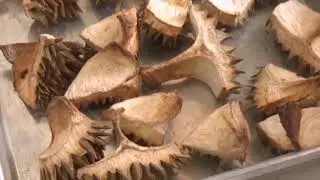 DURIAN PEEL BRIQUETTES CHARCOAL