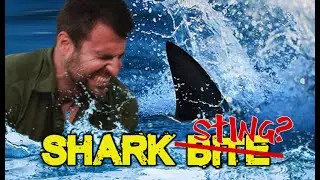 SHARK STING!!!  - Adam Thorn commentary | Kings Of Pain